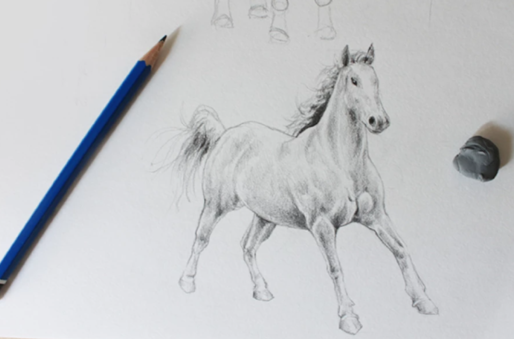 graphite horse drawing