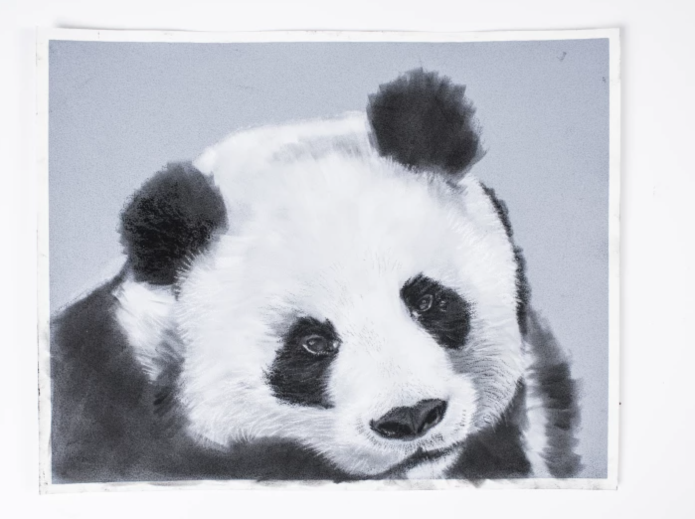 easy charcoal drawings of animals