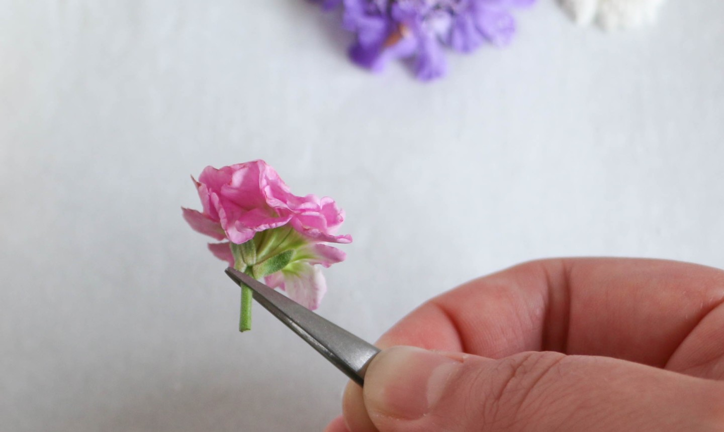 holding flower with tweezers