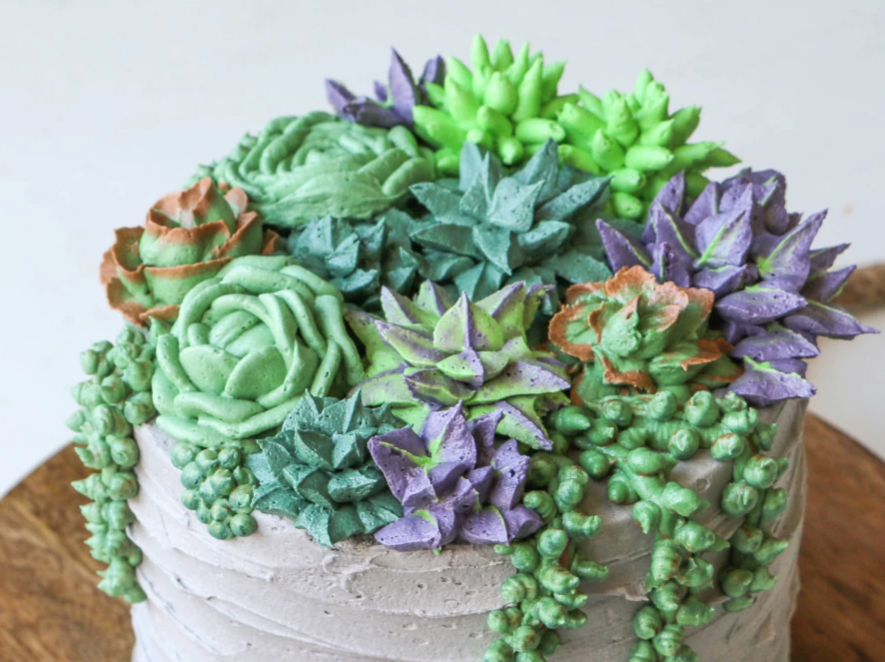 buttercream succulent cake