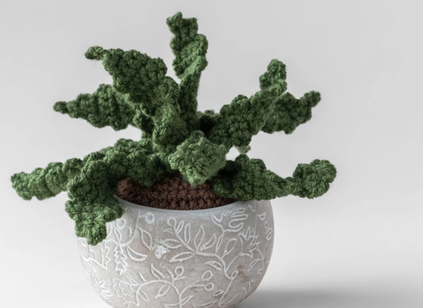 crochet aloe plant