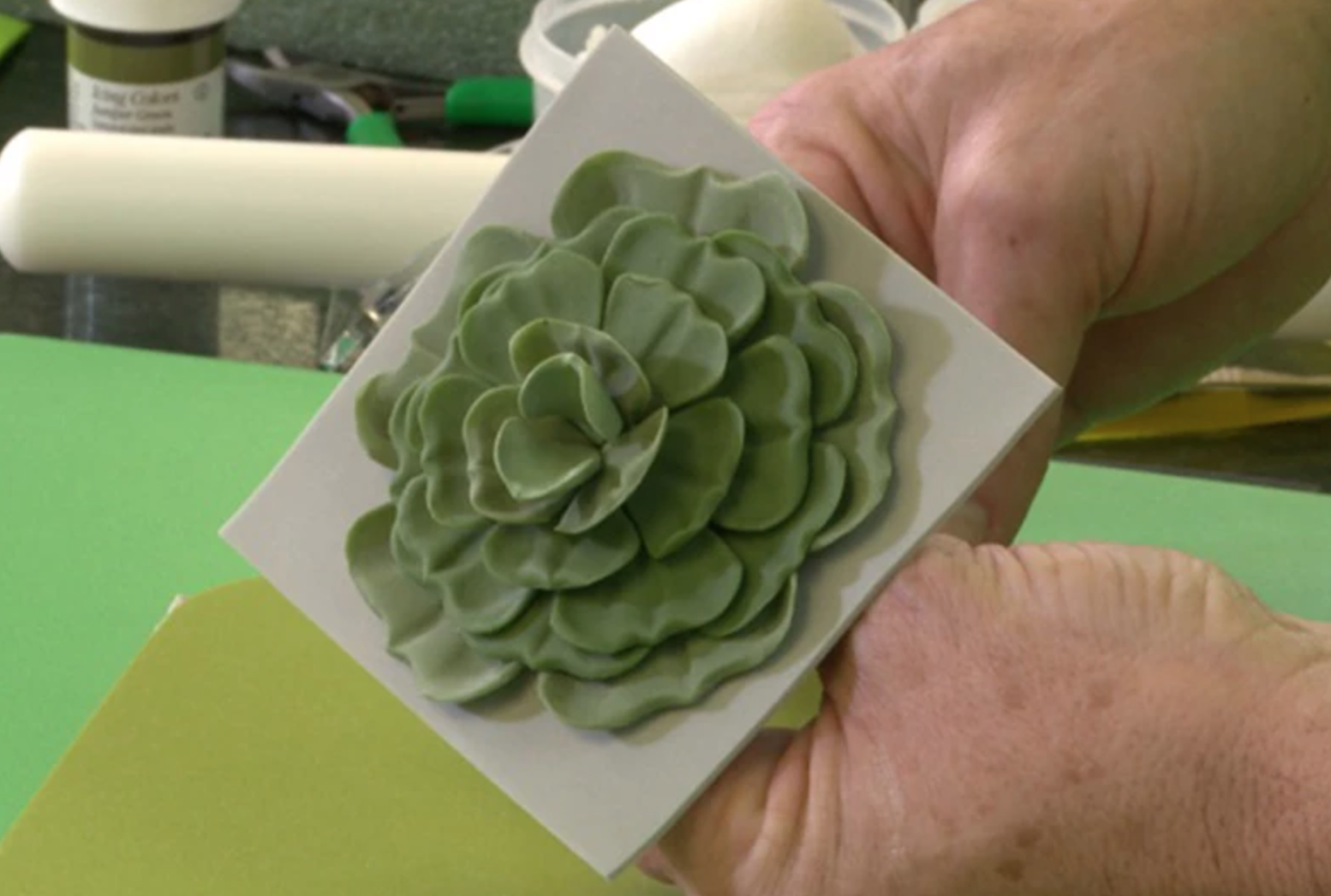 fondant succulent