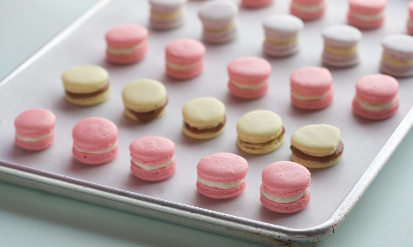 colorful macrons