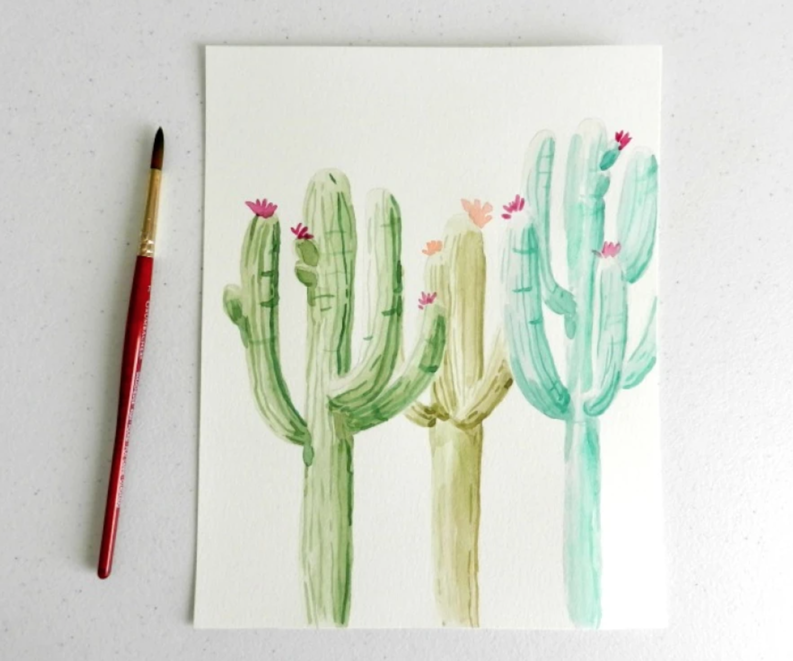 cactus watercolor painting