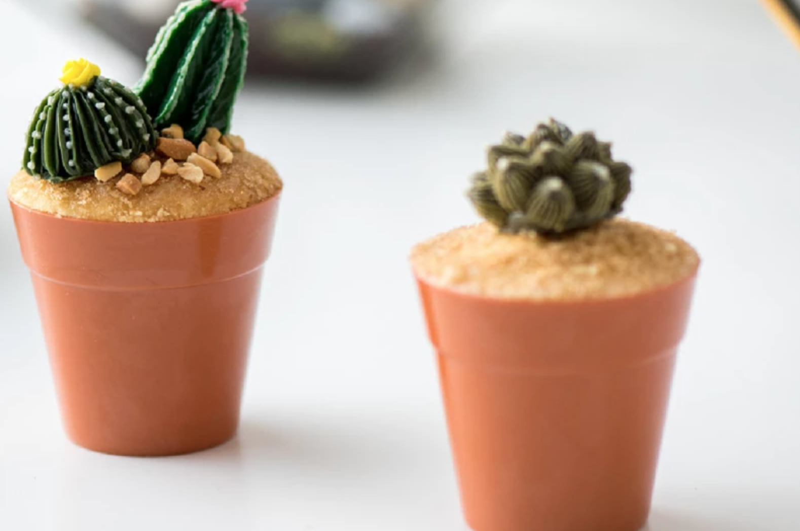 potted cactus cupcakes