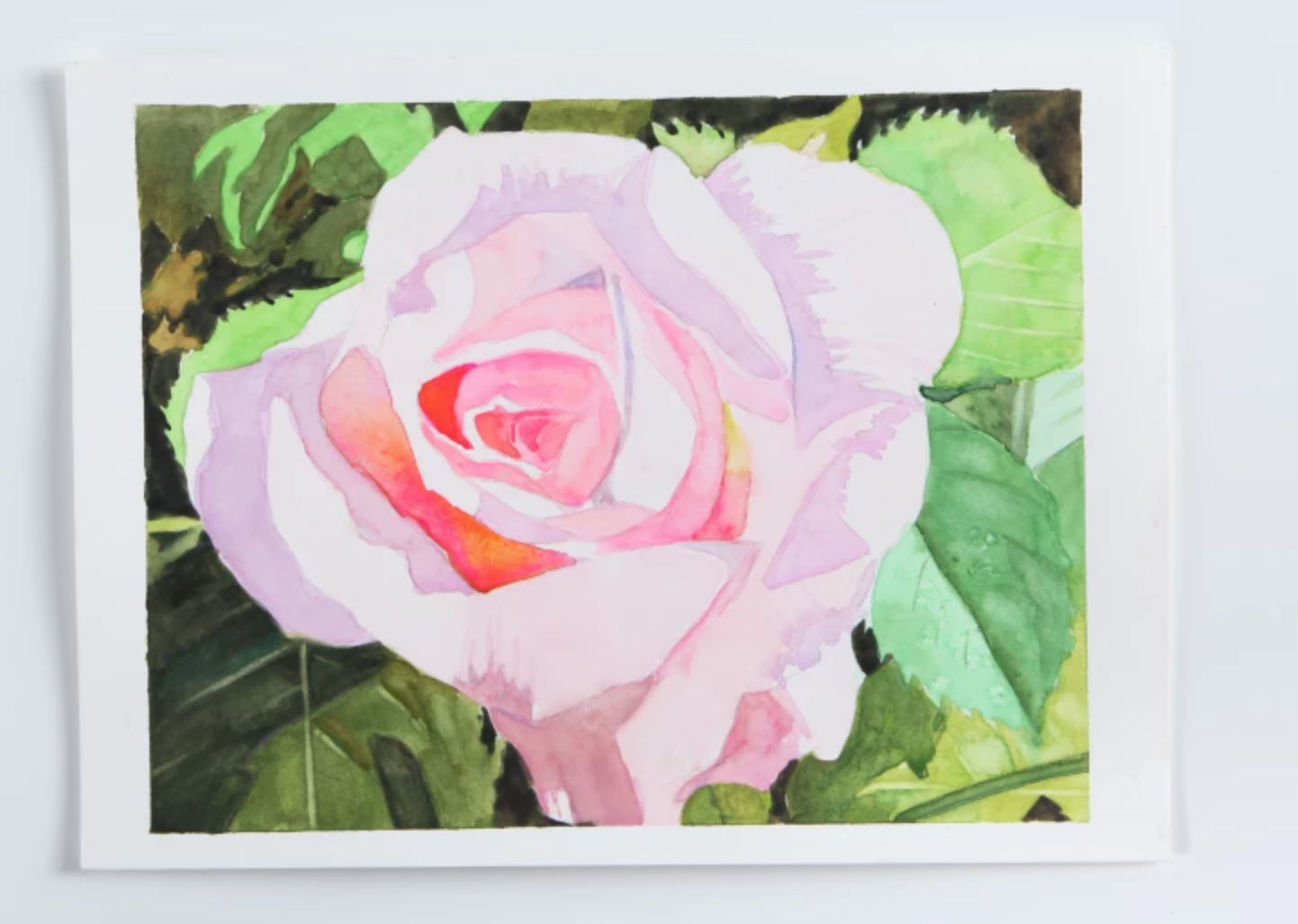 pink watercolor rose