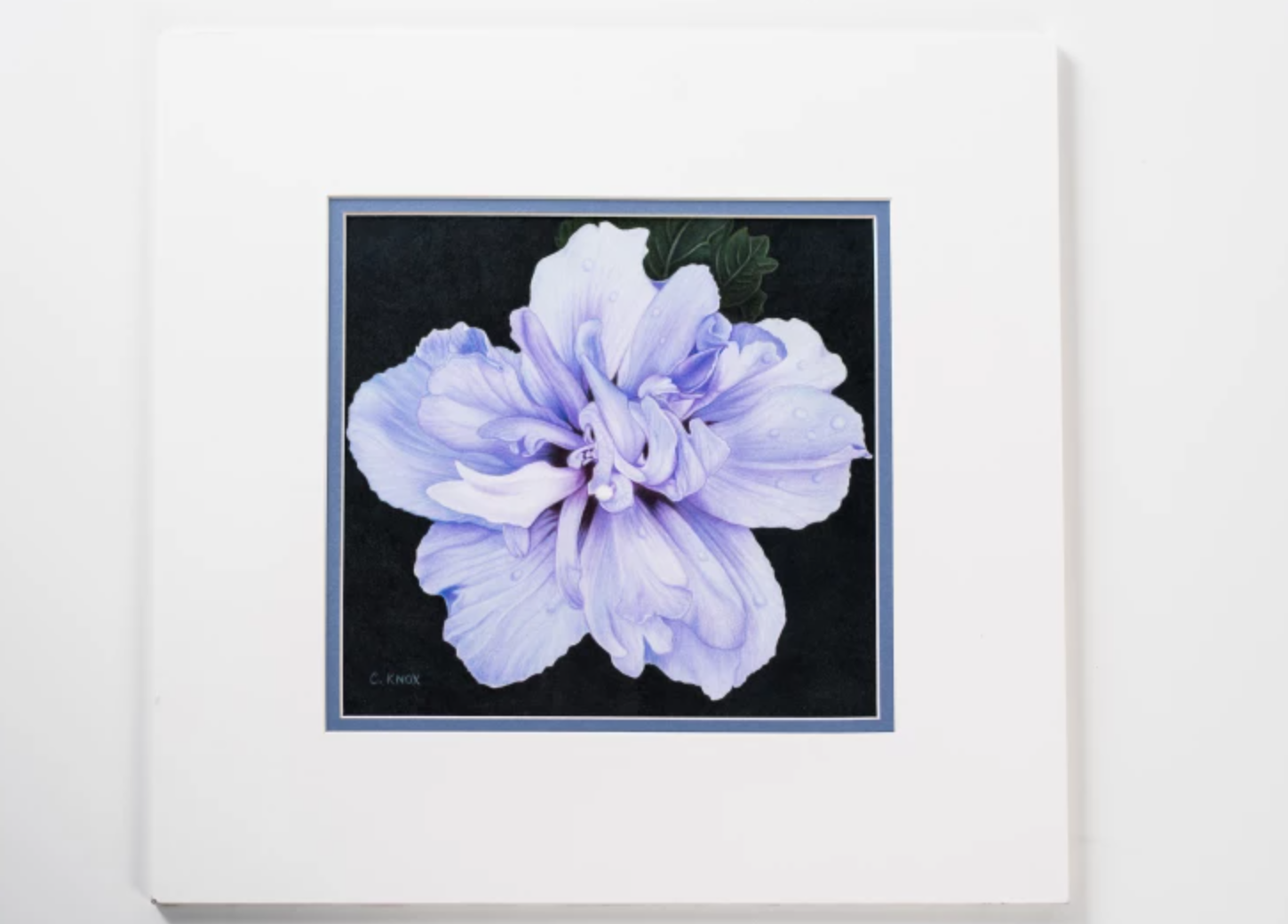 realistic blue flower drawing