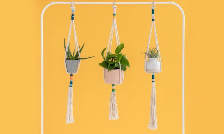knotted plant hangers