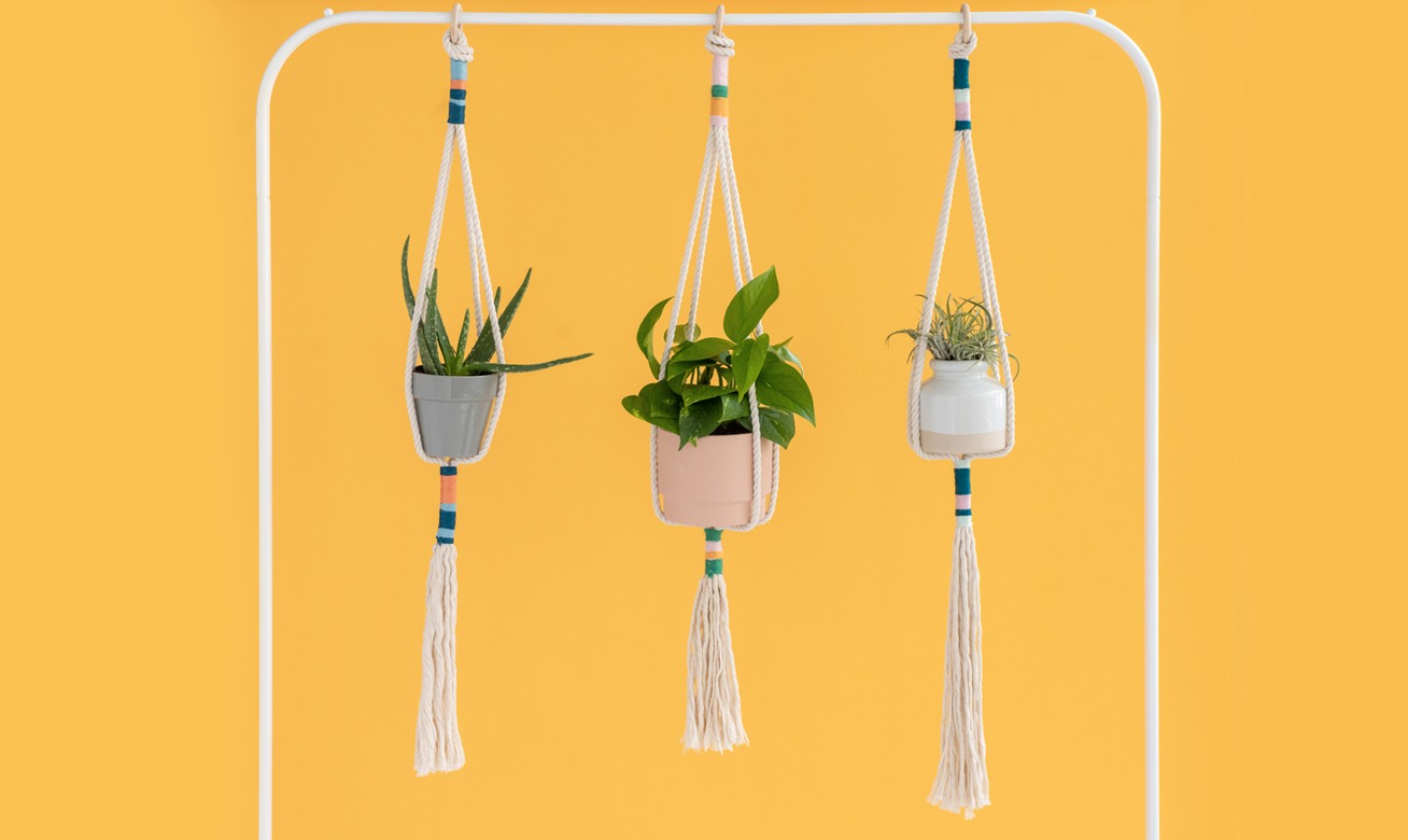 Here's How to Make a Knotted Rope Plant Hanger