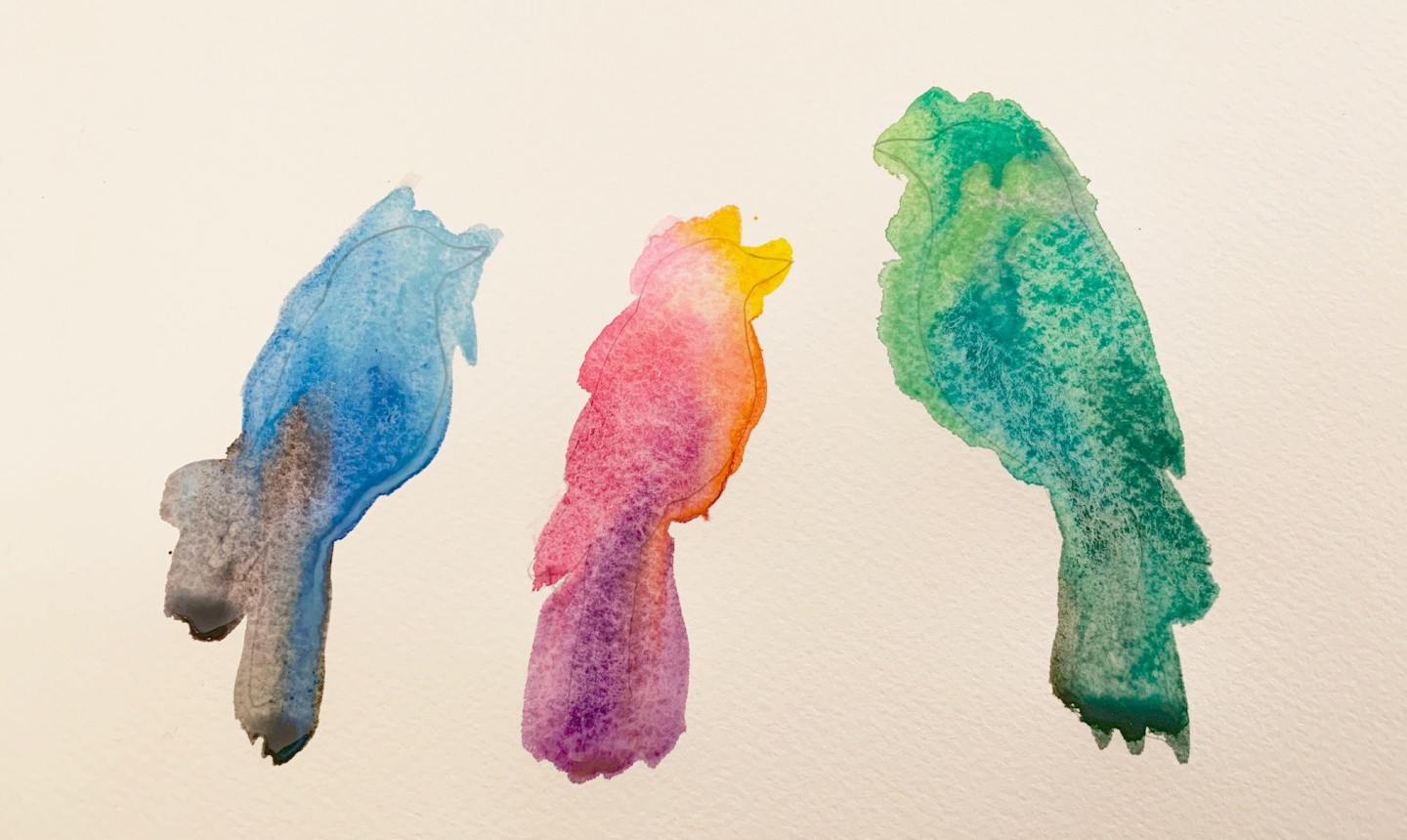 watercolor birds