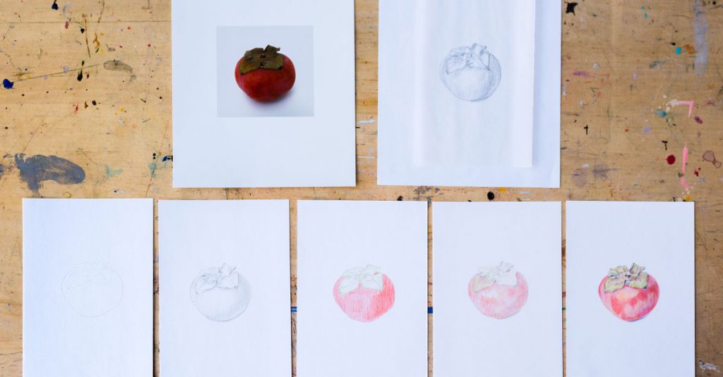 Various sketches of a tomato