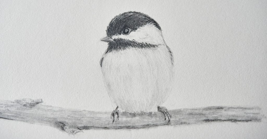 Black and white drawing of a bird