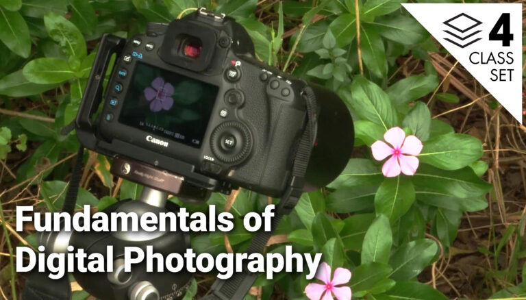 Fundamentals of Digital Photography 4-Class Setproduct featured image thumbnail.
