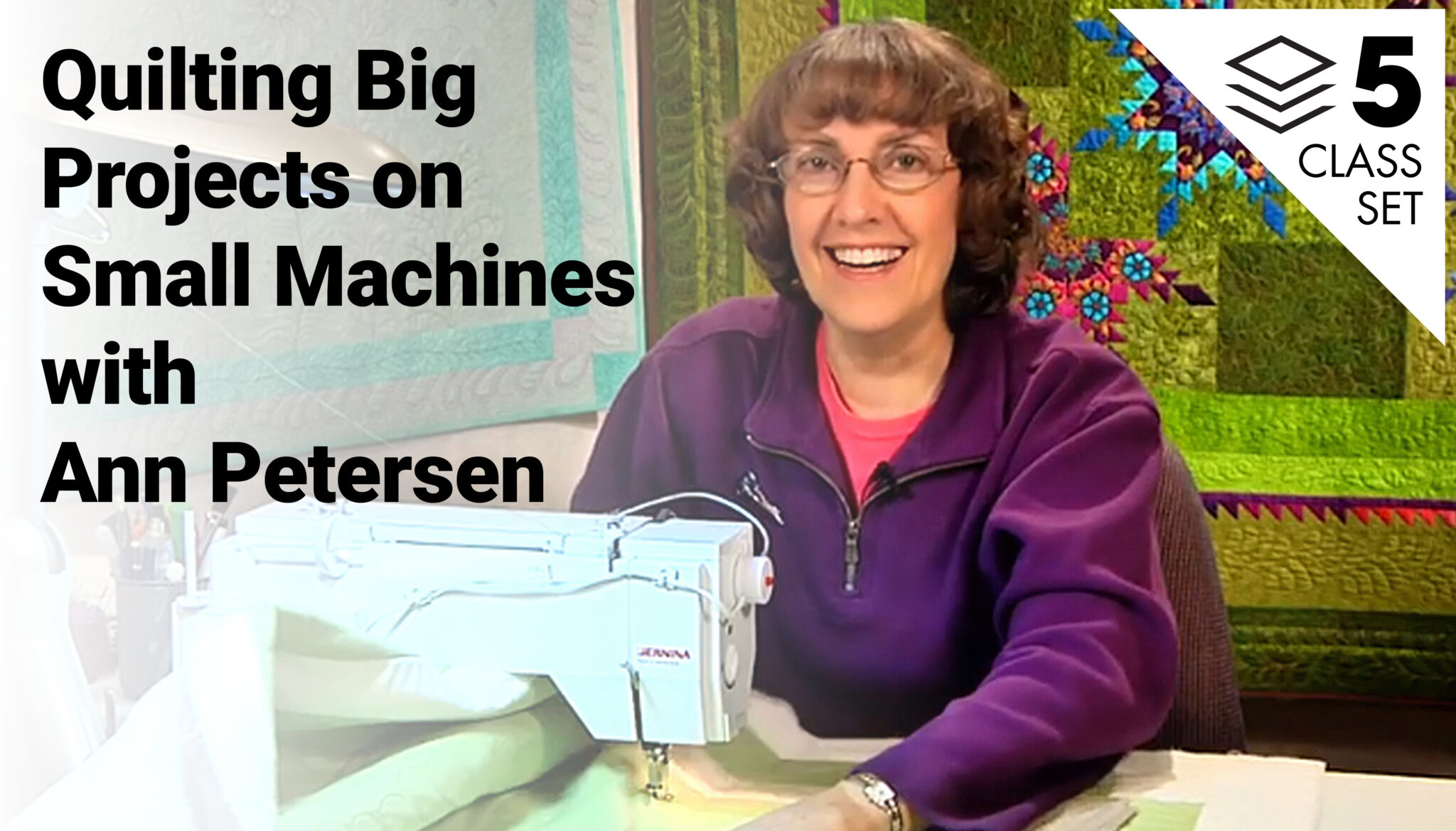 Quilting Big Projects on Small Machines with Ann Petersen 5Class Set