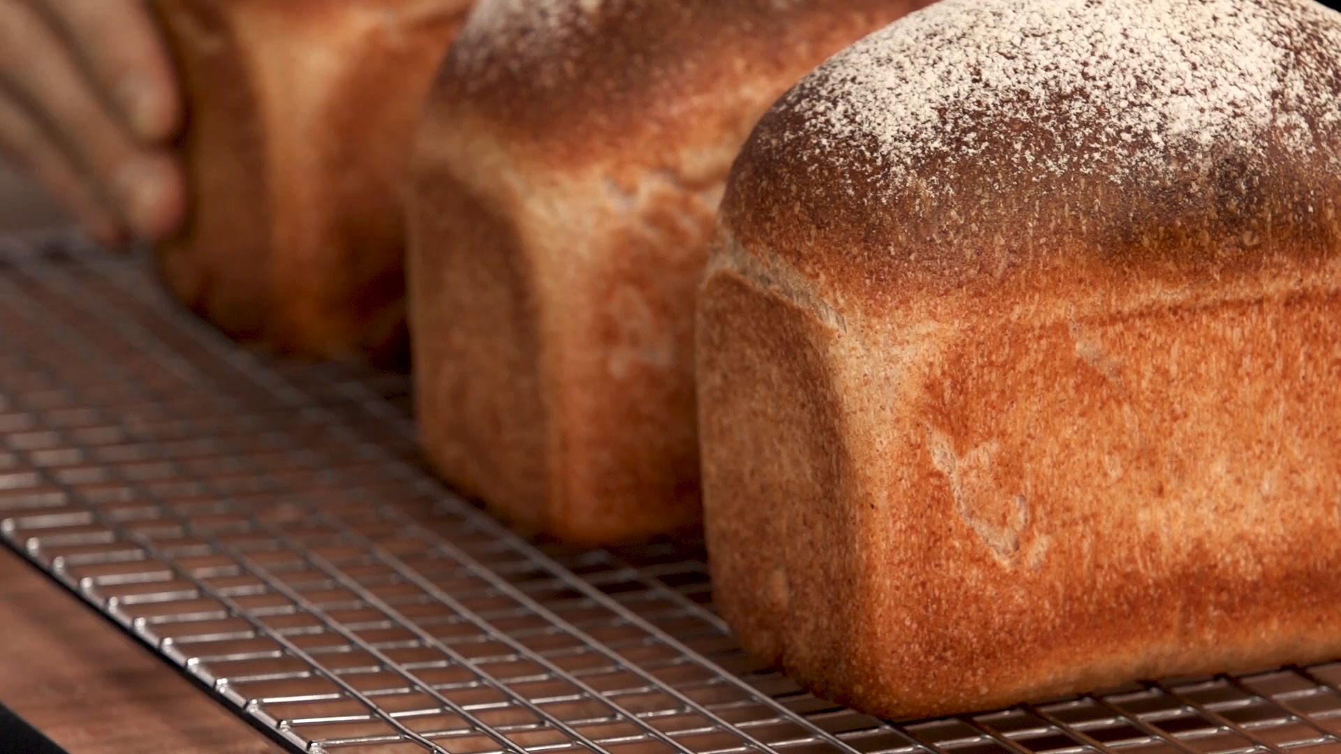 Whole Wheat Toast Bread