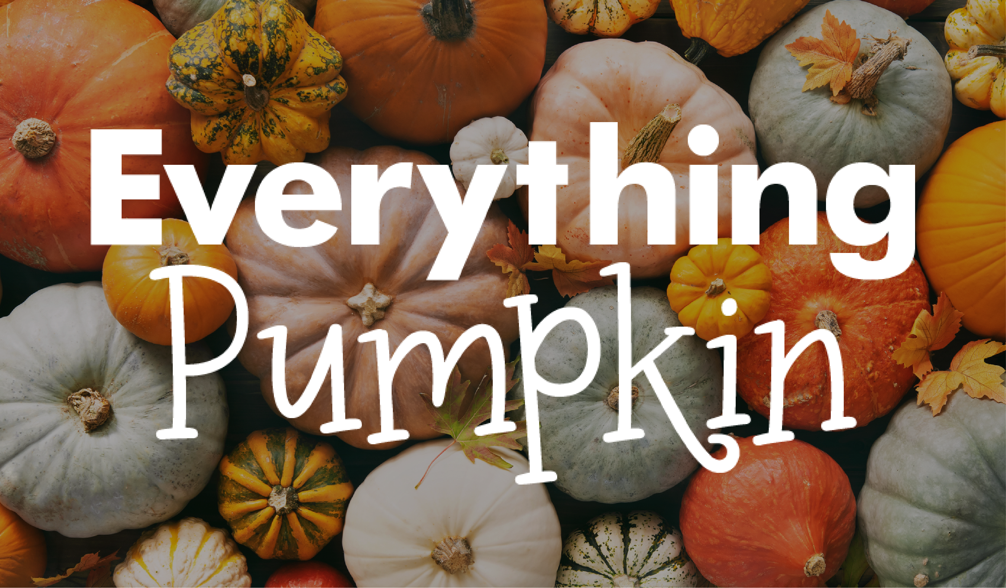 Everything Pumpkin