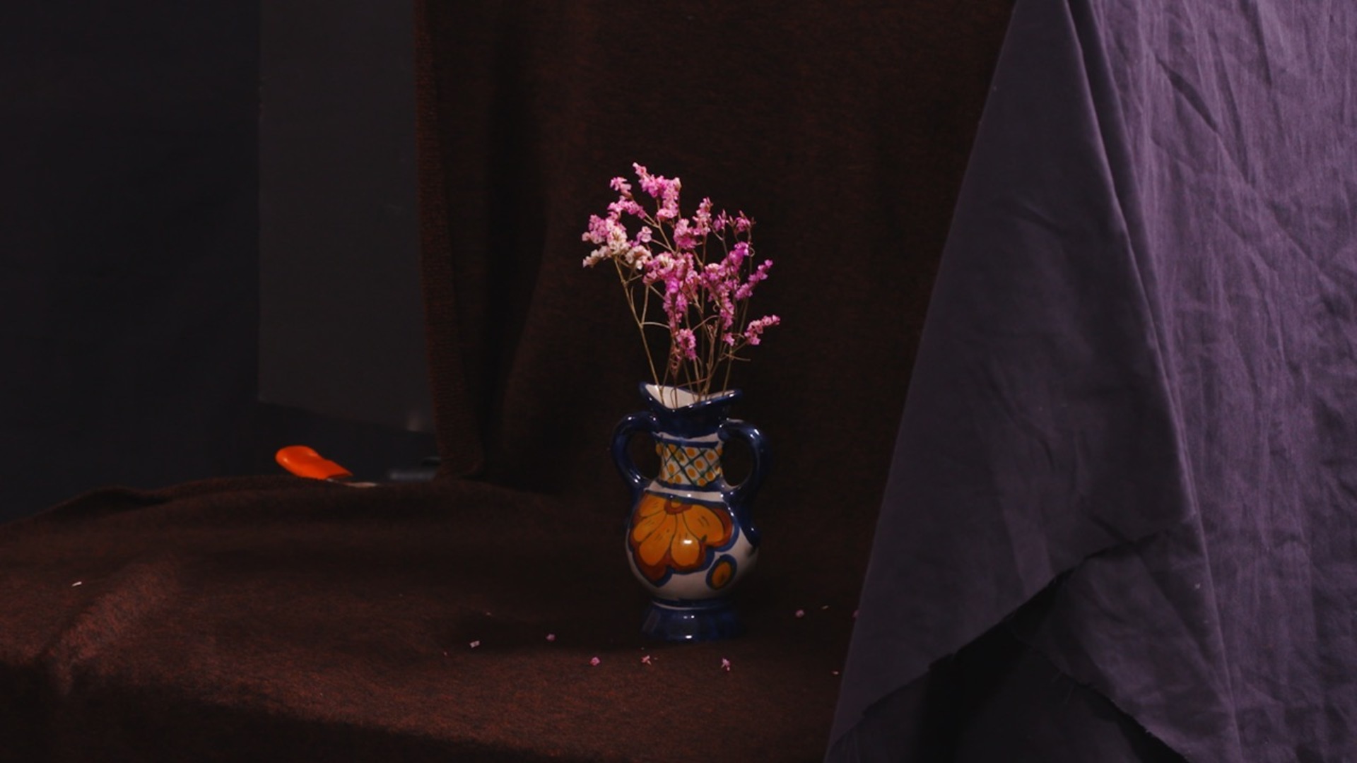 Still Life Set Up