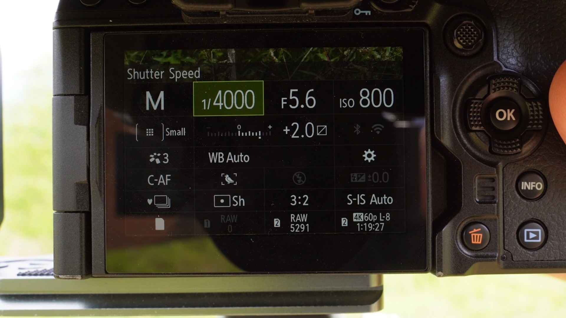 Fail-Proof Settings for Wildlife Photography
