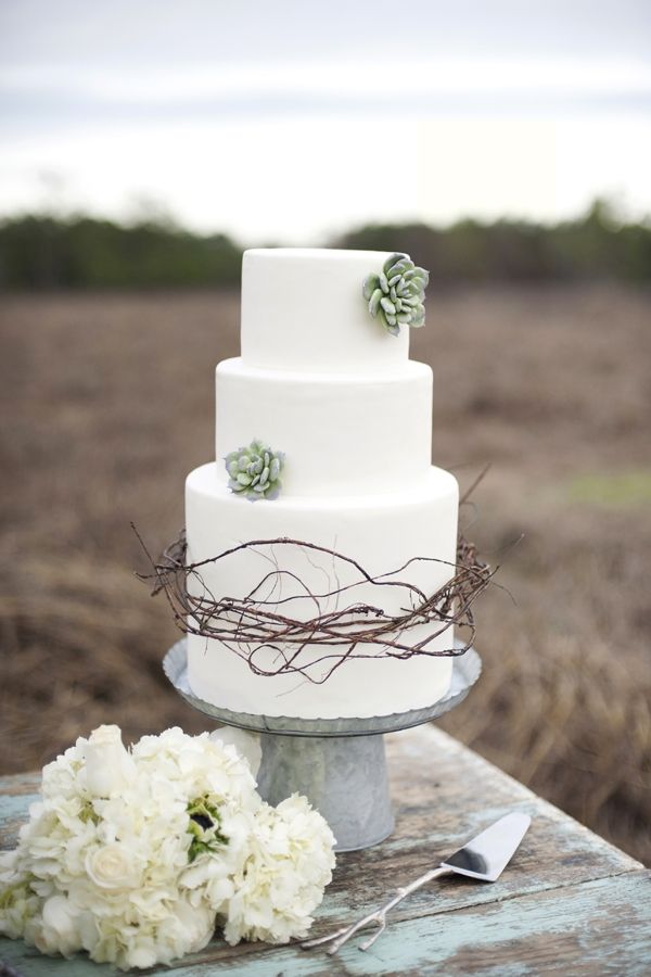 Succulents and Brambles Wedding Cake 