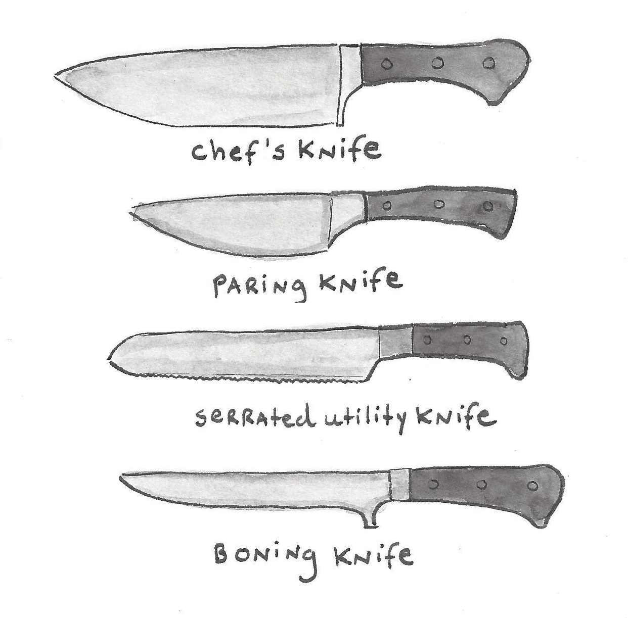 opskrift afhængige Problemer Different Types of Knives: An Illustrated Guide | Craftsy | www.craftsy.com