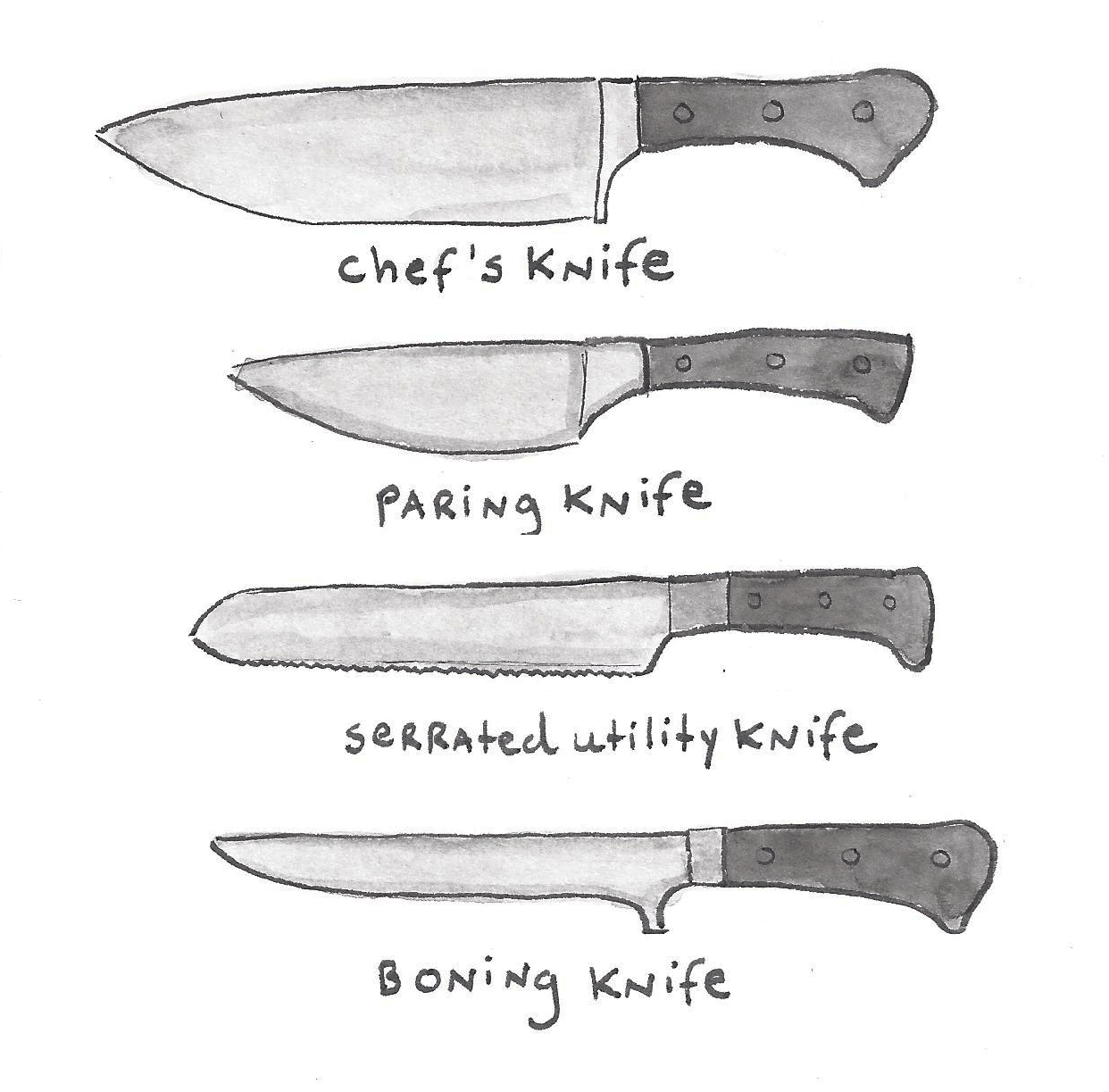 Types of Kitchen Knives, Explained