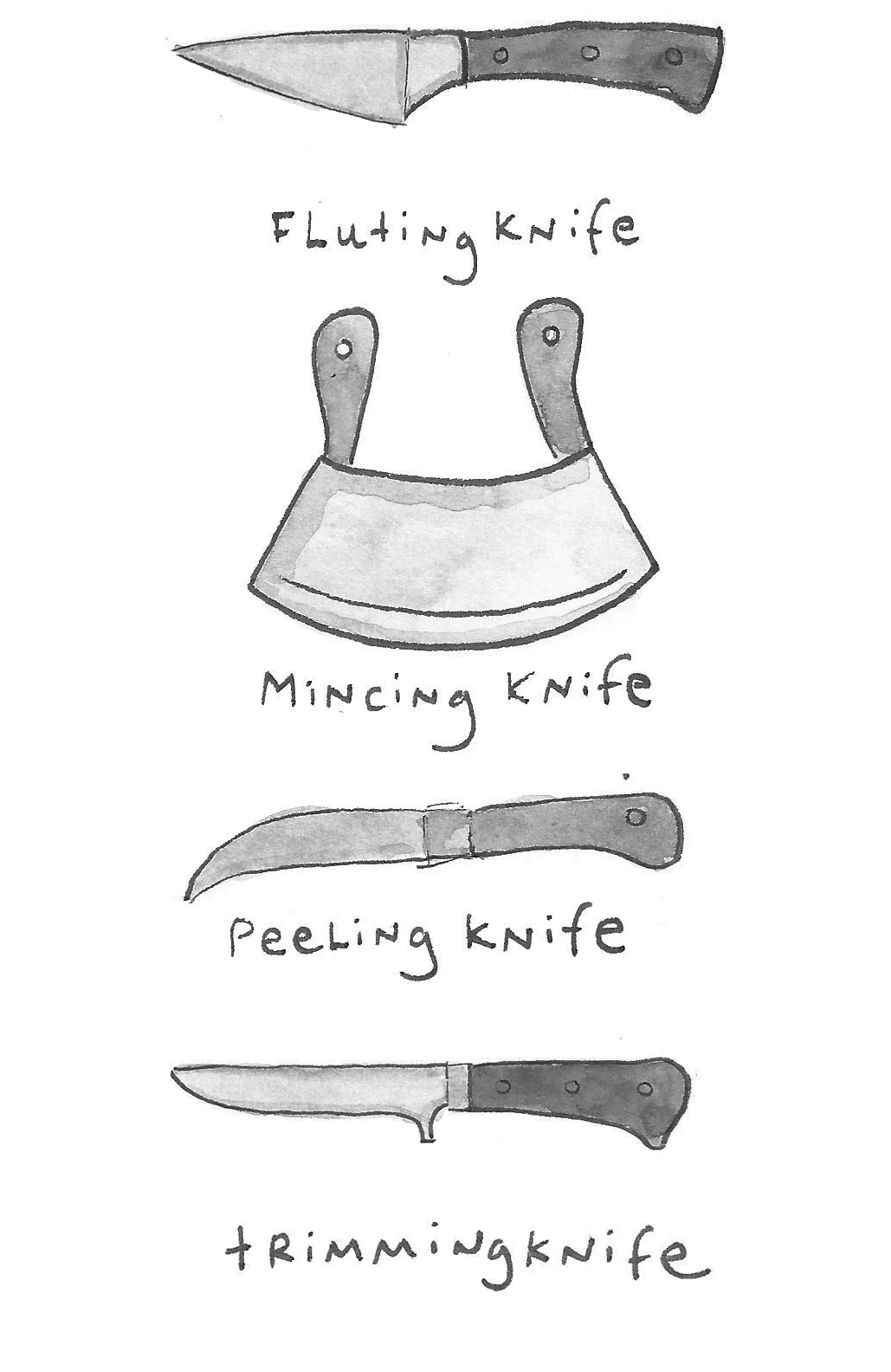 opskrift afhængige Problemer Different Types of Knives: An Illustrated Guide | Craftsy | www.craftsy.com
