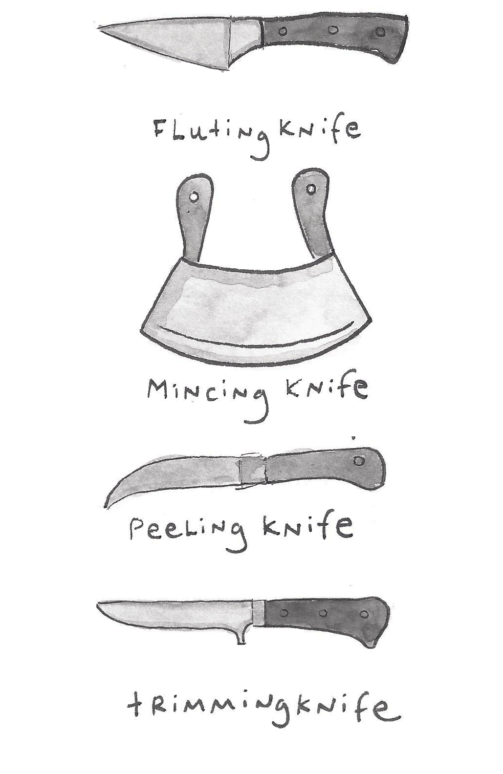 Different Types Of Knives An Illustrated Guide