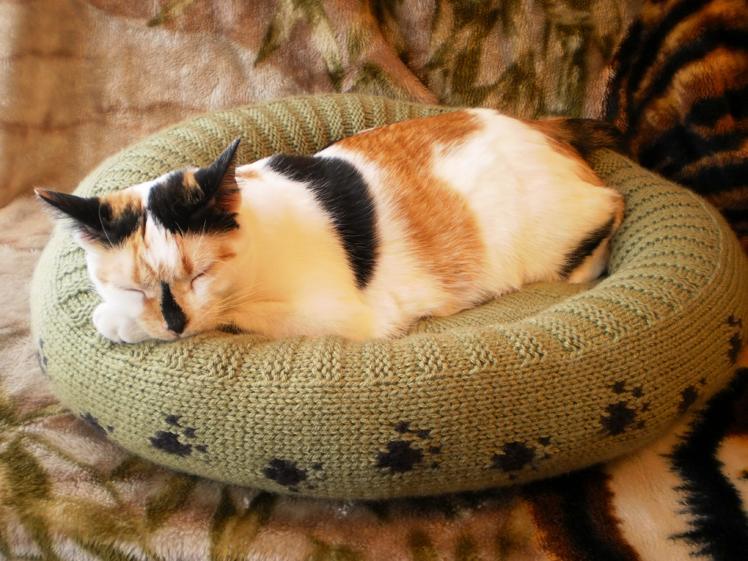 Plush bed knit for cat or dog