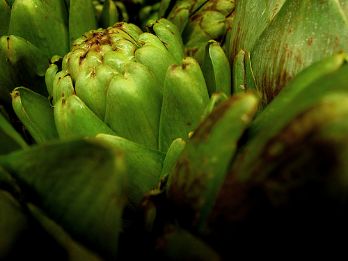 Fresh Artichoke