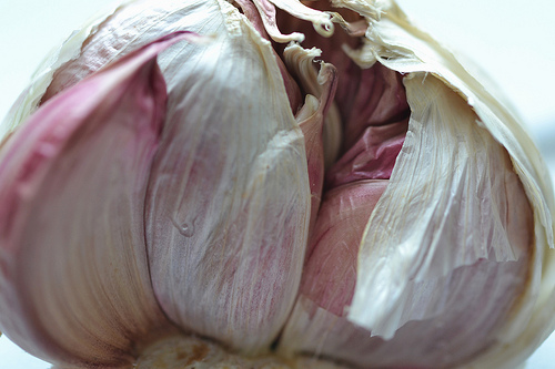 Closeup Shot of Garlic Bulb