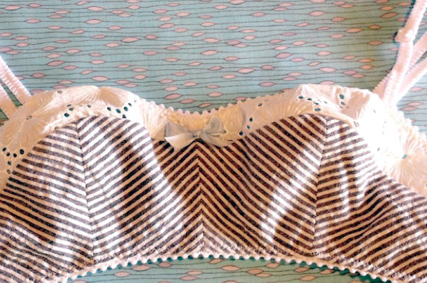 Custom Bralette - Sewing Lingerie on Bluprint 