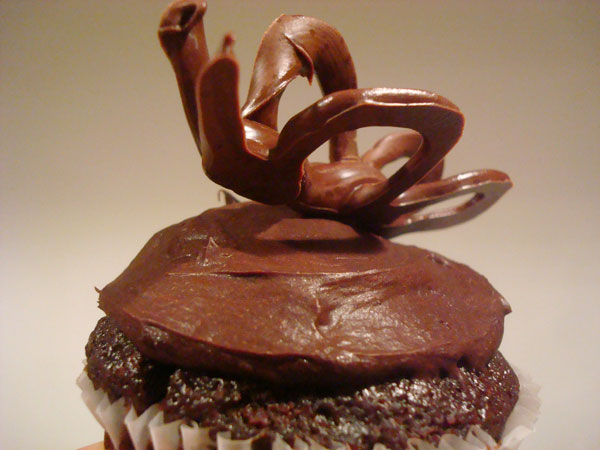 Chocolate Butterfly Garnish on Cake