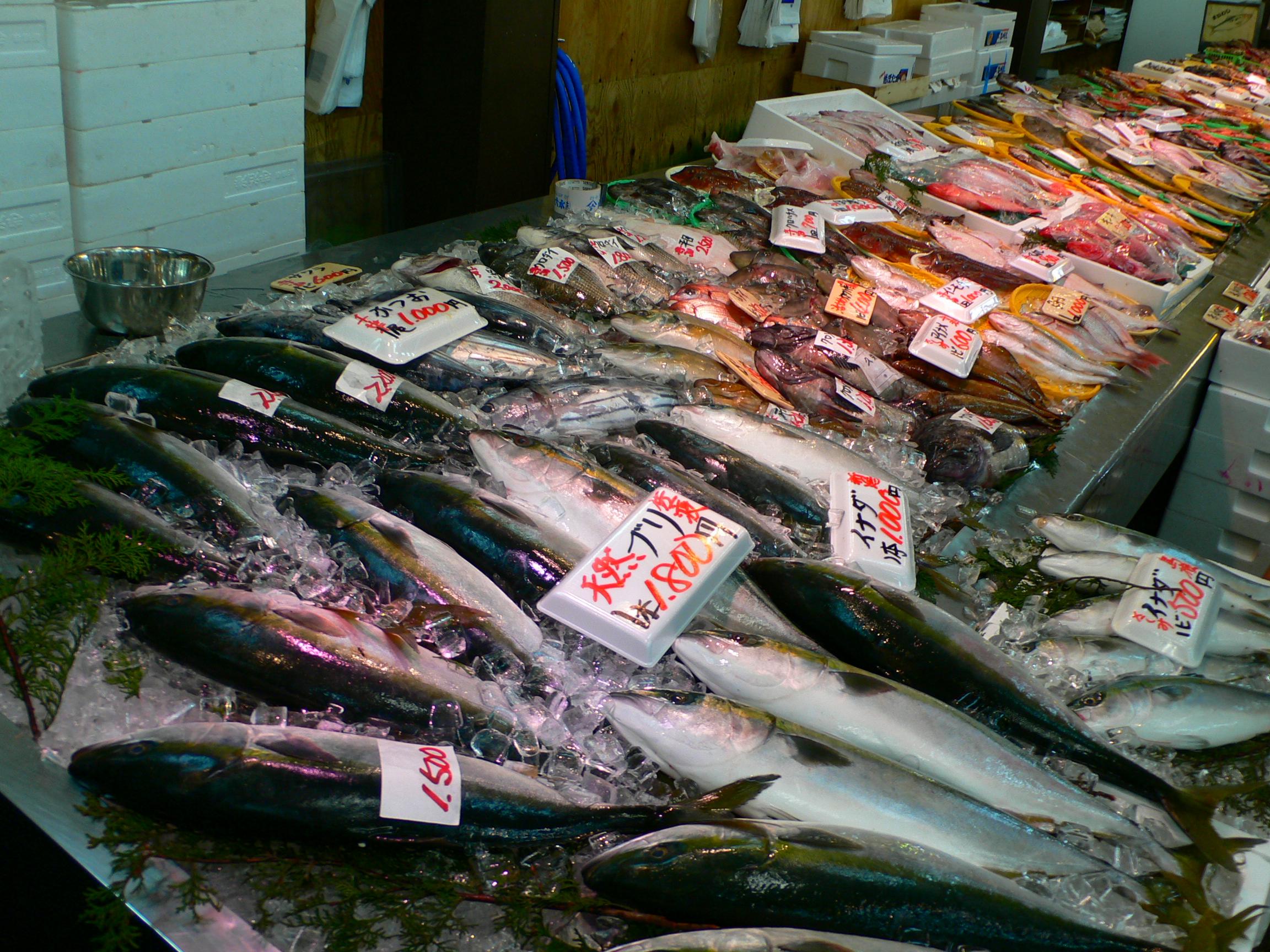 Fish Counter at an Asian Market