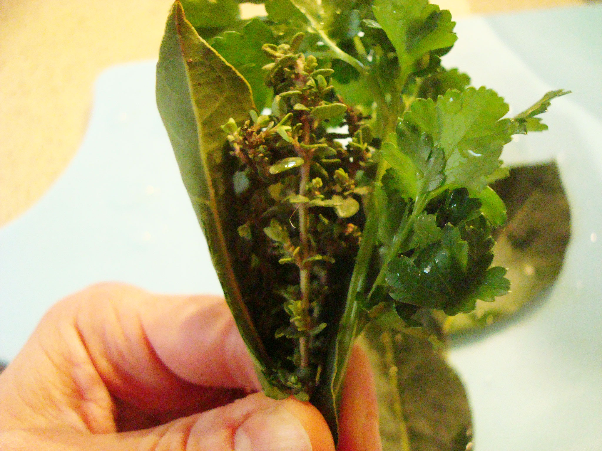 Creating the Bouquet Garni Seasoning Bunch