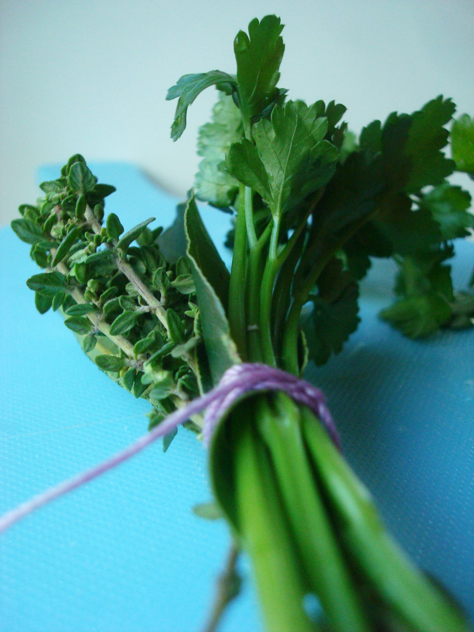 Bouquet Garni Seasoning Bunch 