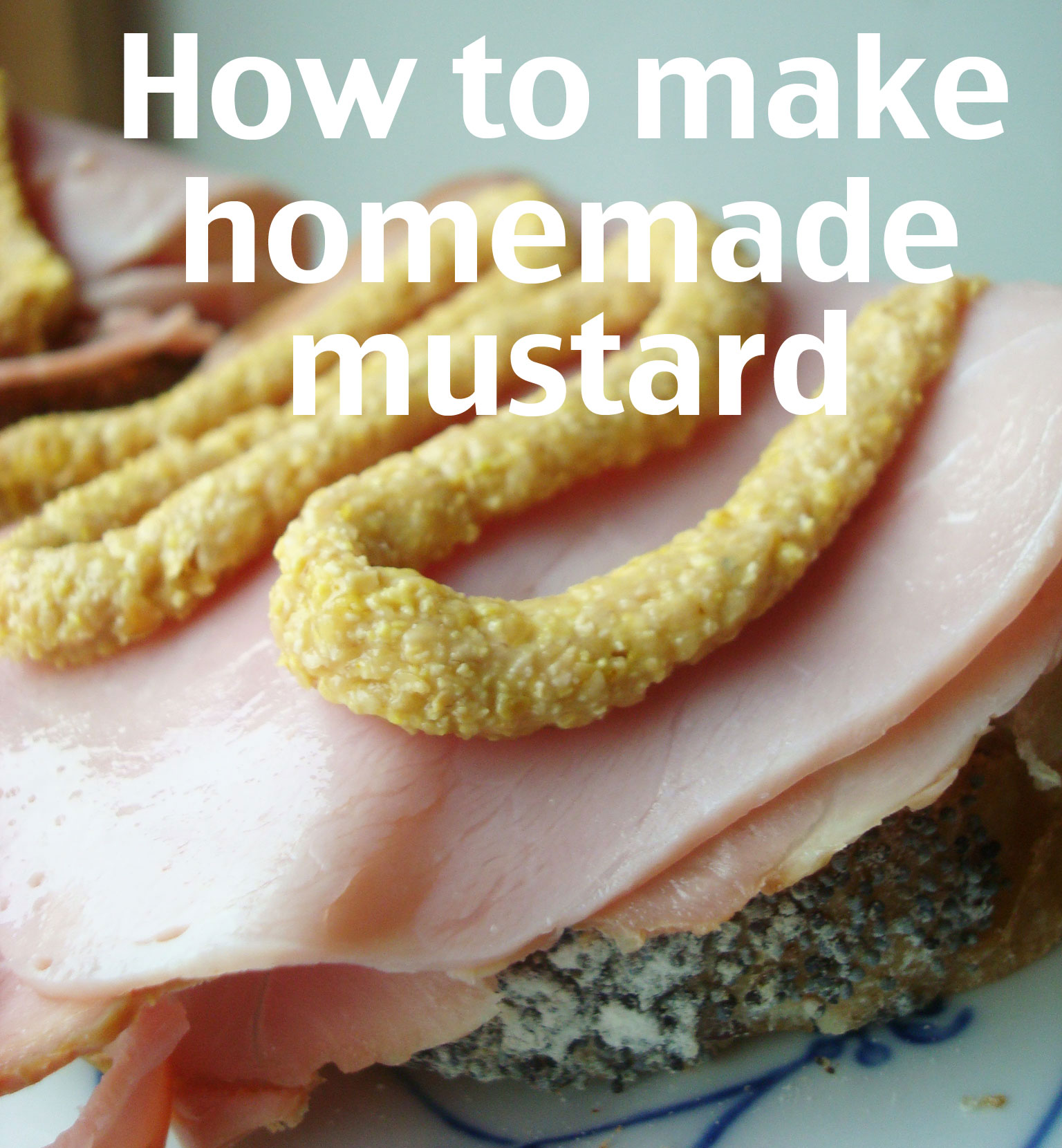 Title Image: How to Make Homemade Mustard