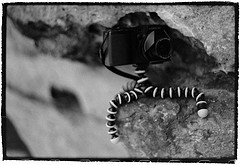 Gorillapod - Camera Stabilizer