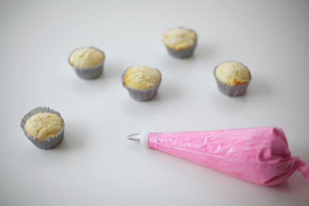 Piping Bag and Undecorated Cupcakes