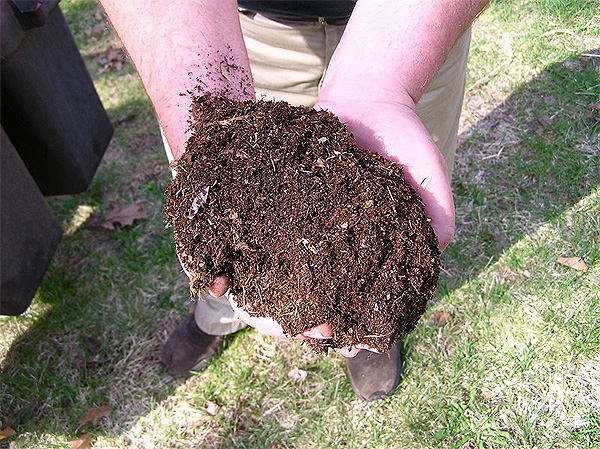 Hands holding finished compost-dirt