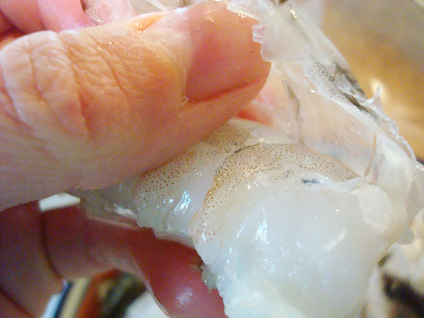 Removing Shrimp Shells 