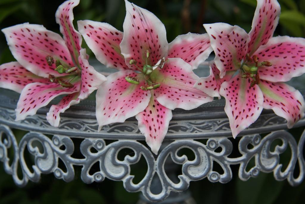 Lilies - Making Realistic Sugar Flowers on Bluprint.com