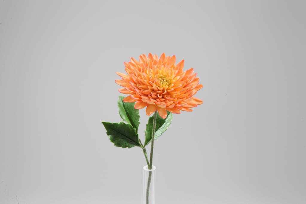 Dahlia Sugar Flower - Made in Bluprint Class