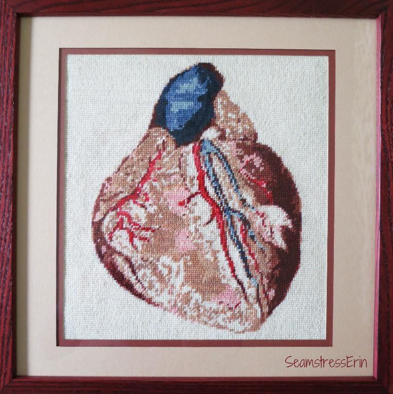 Anatomical human heart in cross-stitch