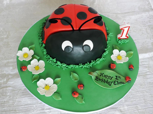 Ladybird cake by Bluprint Member Courtney McKinnon