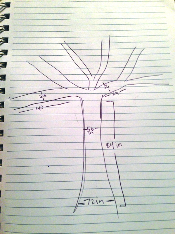 Sketch of a Tree with Measurements for Yarn Bomb