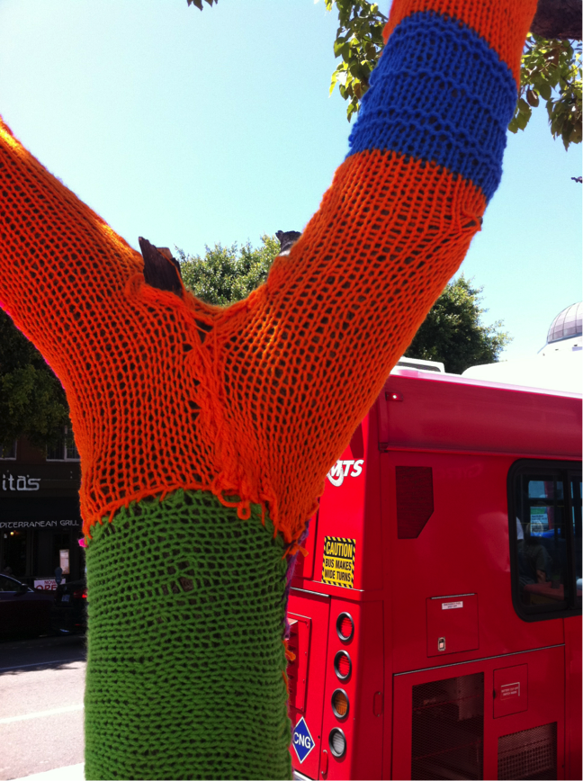 Yarn Bombed Tree