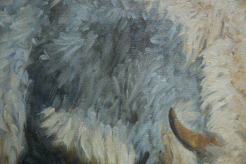 Detail of one of the yaks in an oil painting