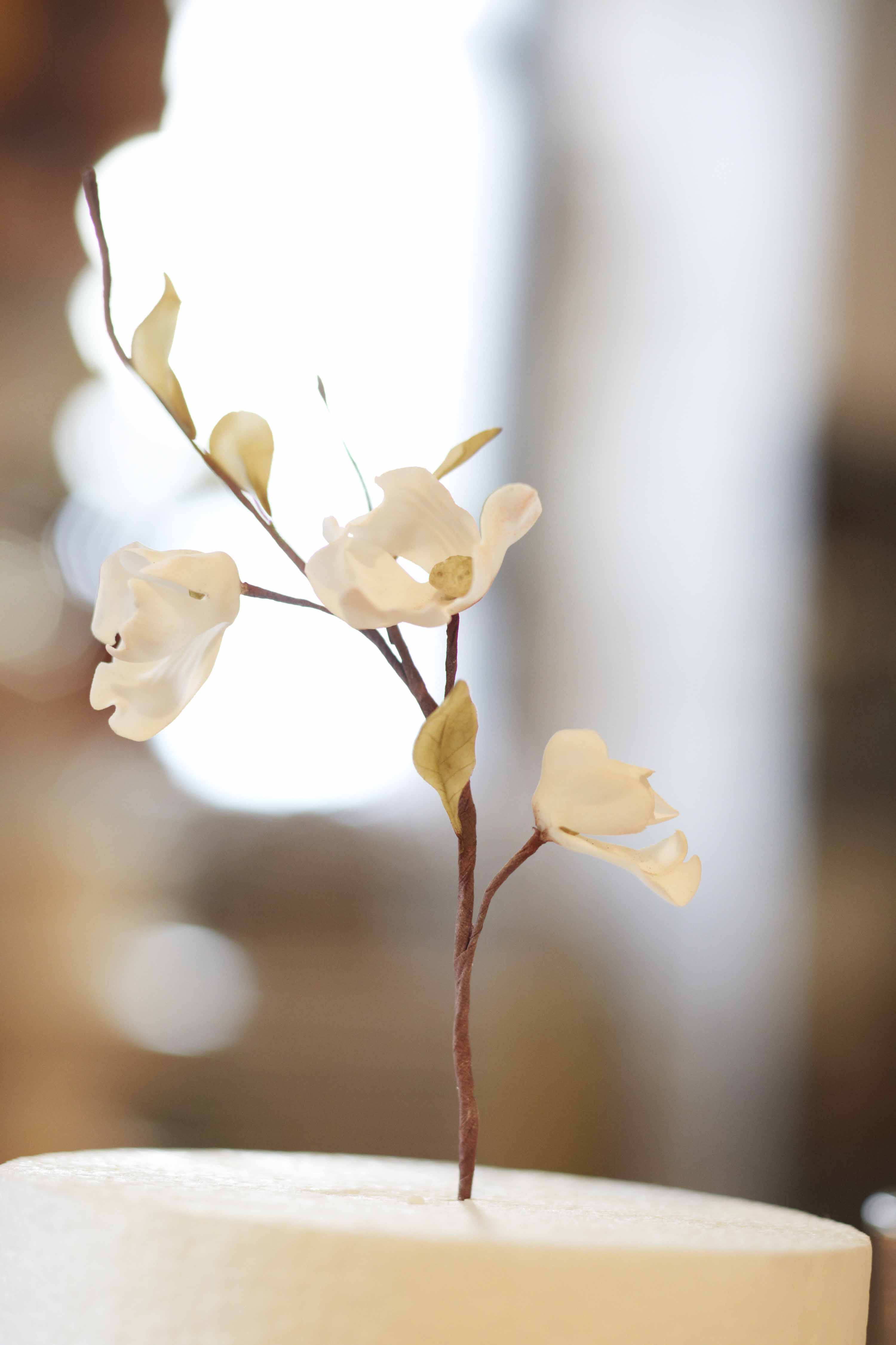 Dogwood Sugar Flower