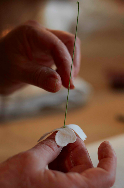 Attaching Stem to Sugar Dogwood Flower