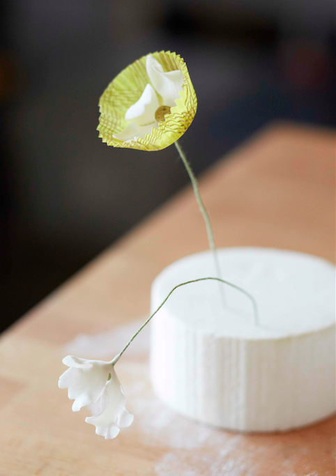 Sugar Flowers Drying in Styrofoam